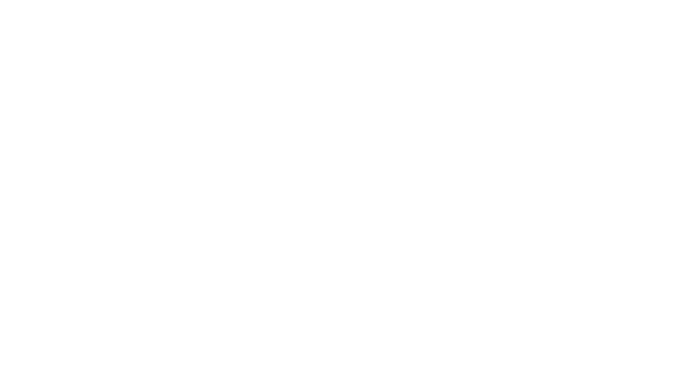 Želvoz